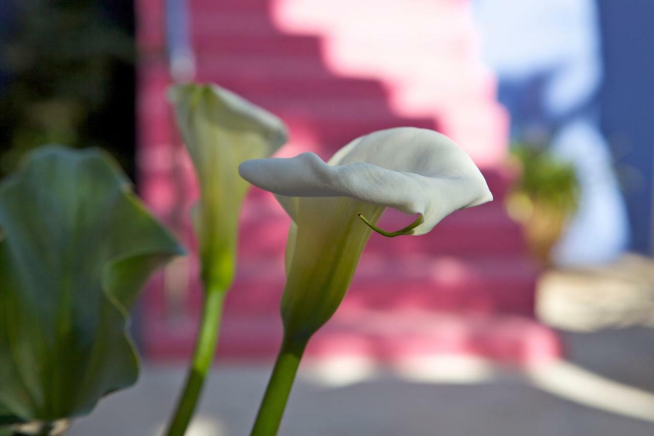 Casa Flores ลอสยานอส เด อารีดาเน ภายนอก รูปภาพ